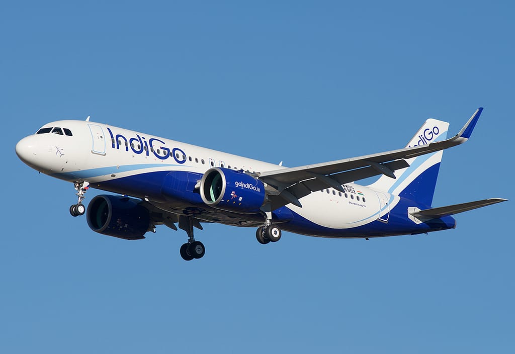 Indigo Flight